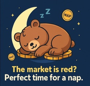NAP Meme Coin